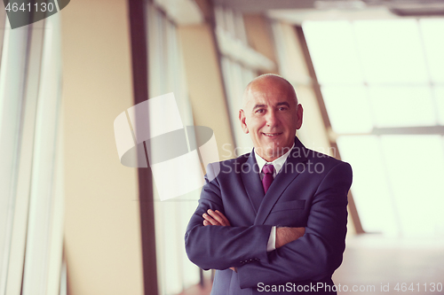 Image of senior business man portrait