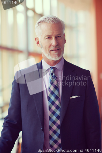 Image of senior business man portrait