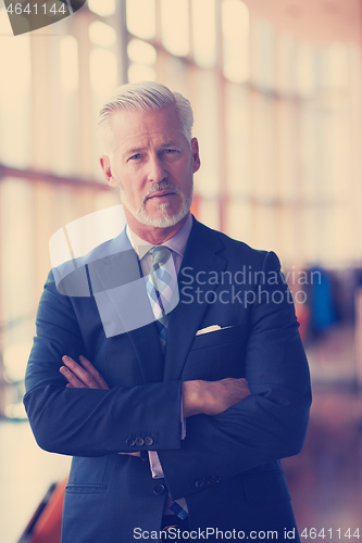 Image of senior business man portrait