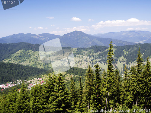 Image of Forest landscape