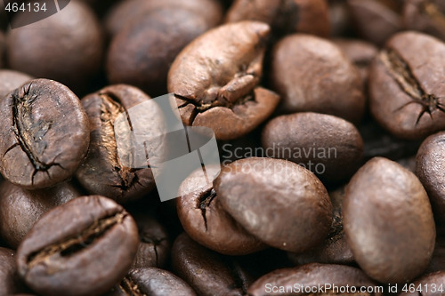 Image of Coffee beans