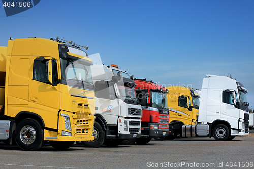 Image of Line Up of Colorful Semi Trucks