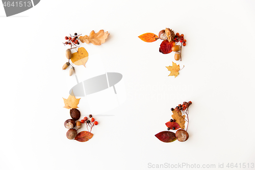 Image of autumn leaves, chestnuts, acorns and berries frame