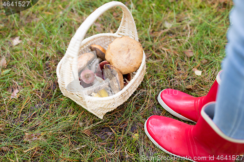 Image of basket of mushrooms and feet in gumboots in forest