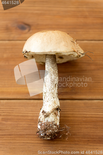 Image of brown cap boletus mushroom on wooden background