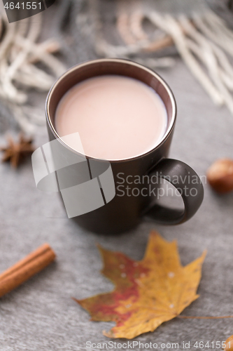 Image of cup of hot chocolate, autumn leaf and warm blanket