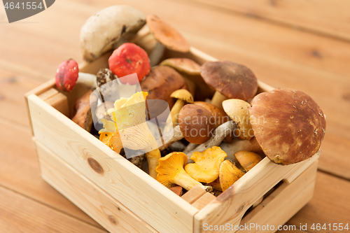 Image of wooden box of different edible mushrooms