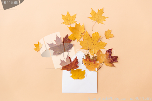 Image of autumn maple leaves with envelope on beige