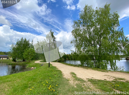 Image of beautiful summer landscape