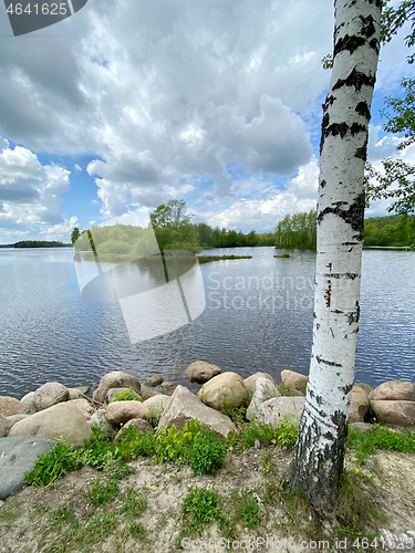 Image of beautiful summer landscape