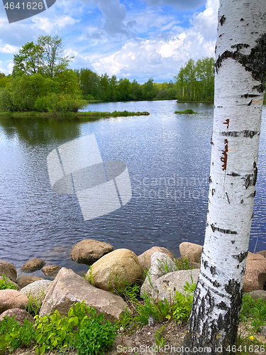 Image of beautiful summer landscape