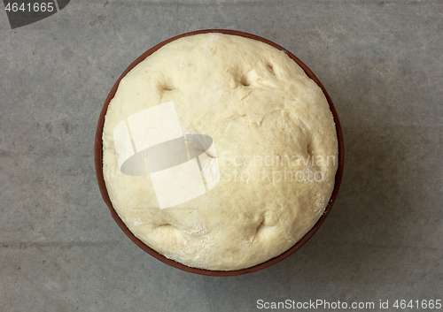 Image of leavened dough in ceramic bowl