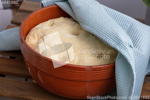 Image of leavened dough in ceramic bowl