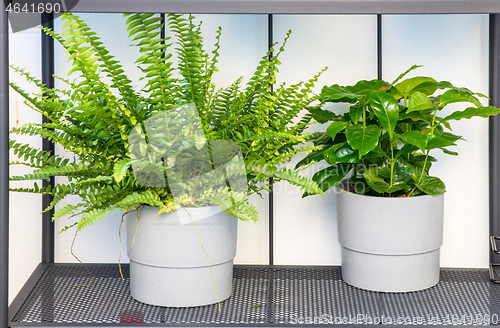 Image of flower pots on the balcony