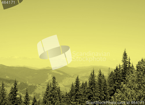 Image of Forest landscape