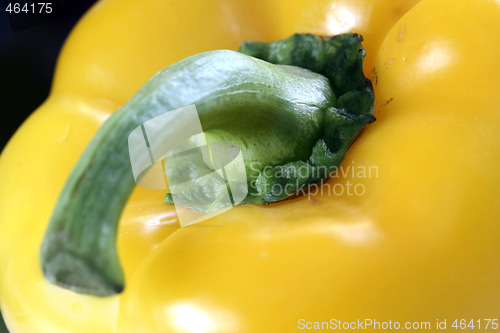 Image of Shiny peppers 