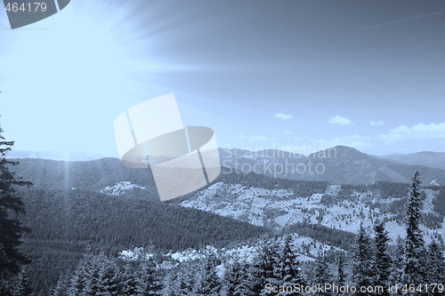 Image of Forest landscape