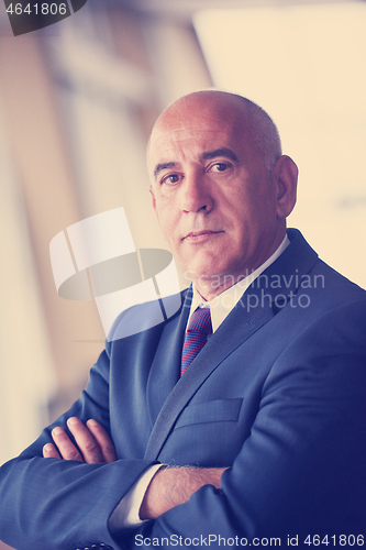 Image of senior business man portrait