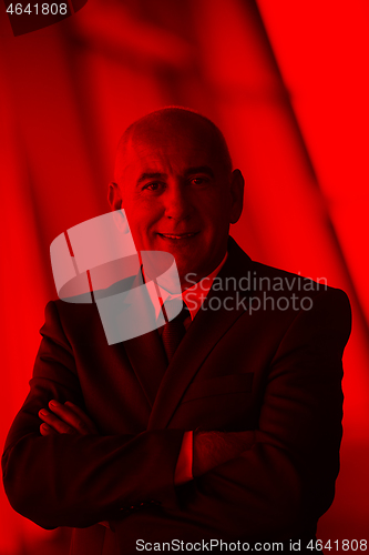 Image of senior business man portrait