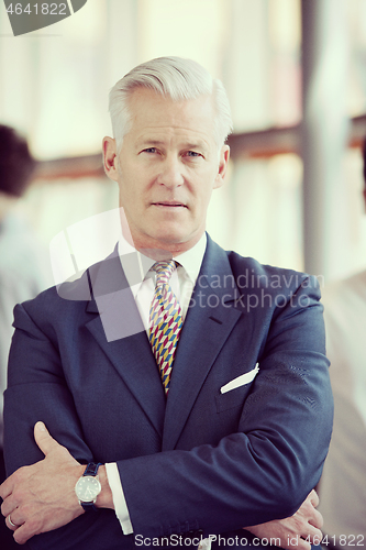 Image of portrait of handsome senior business man at modern office