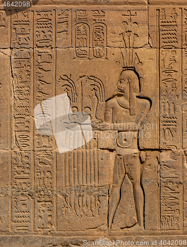 Image of Hieroglyphic carvings in ancient temple