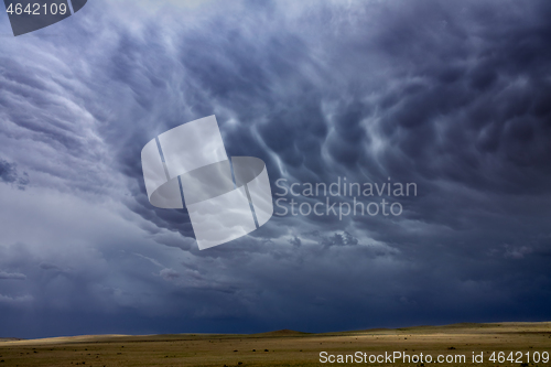 Image of Mammatus clouds sky over steppe