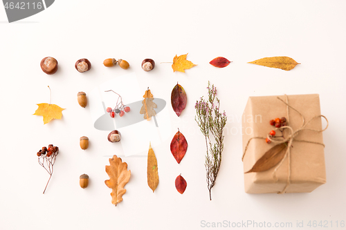 Image of gift, autumn leaves, acorns and rowanberry