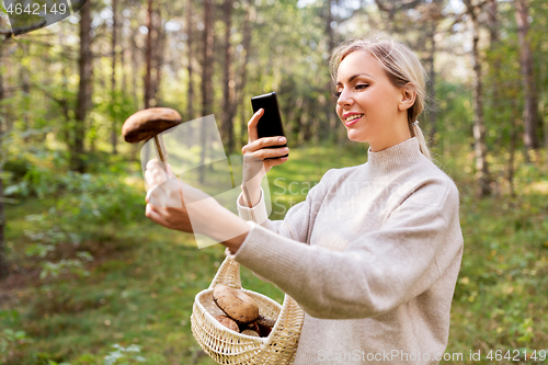 Image of woman using smartphone to identify mushroom