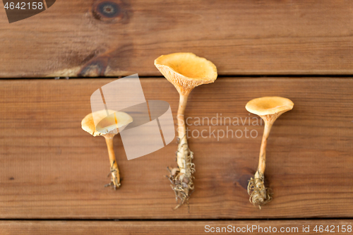 Image of chanterelles on wooden background