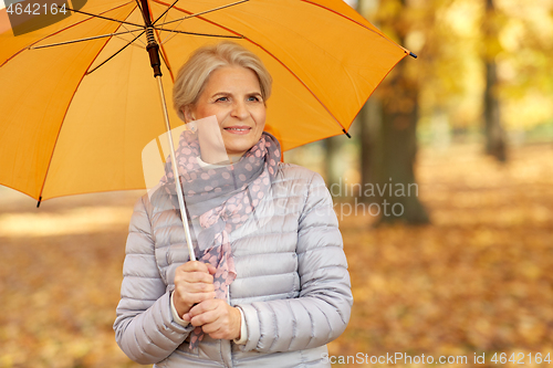 Image of happy senior woman with umbrella at autumn park