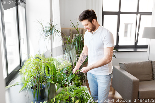 Image of man taking care of houseplants at home