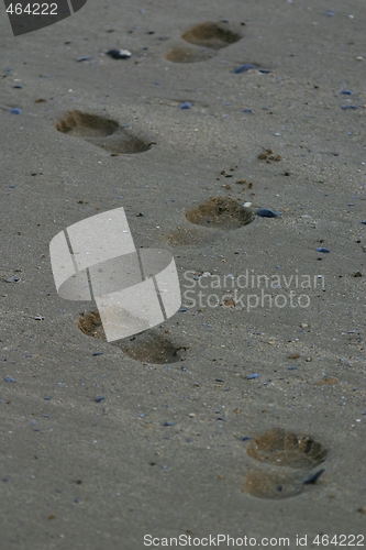 Image of Footprints in the sand