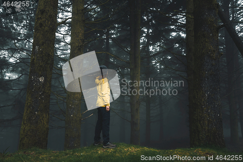 Image of Traveler looking to a forest