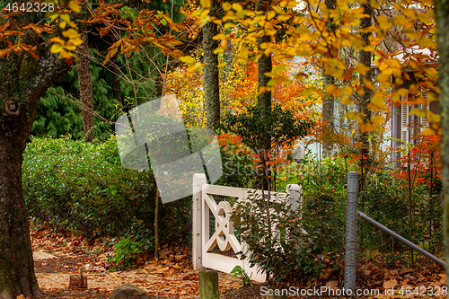 Image of Autumn gardens