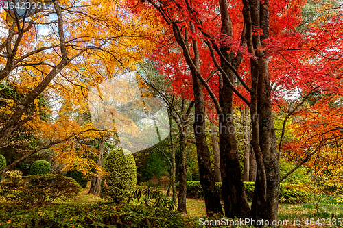 Image of Lovely parkland garden with deciduous trees in Autumn colours