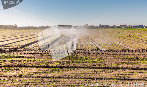 Image of Irrigation system on a large farm field. Water sprinkler installation.