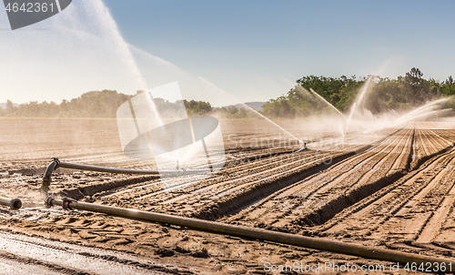 Image of Irrigation system on a large farm field. Water sprinkler installation.