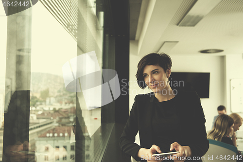 Image of Elegant Woman Using Mobile Phone by window in office building