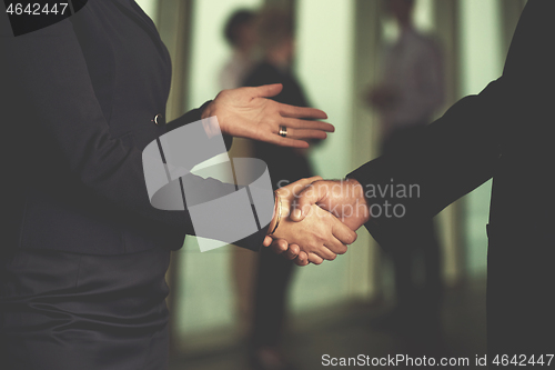 Image of handshake of business woman and man