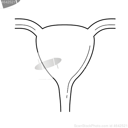 Image of Uterus line icon.