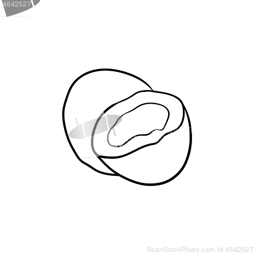 Image of Coconut hand drawn sketch icon.