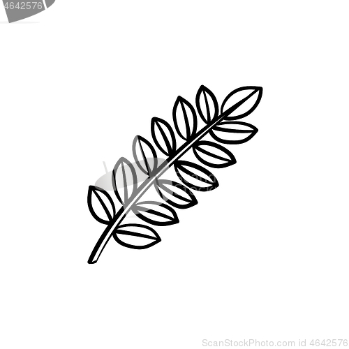 Image of Leaves on branch hand drawn sketch icon.