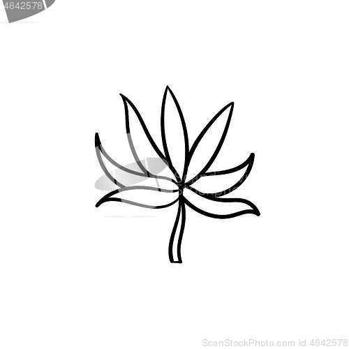 Image of Plant leaf hand drawn sketch icon.