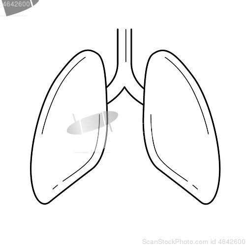 Image of Lungs line icon.