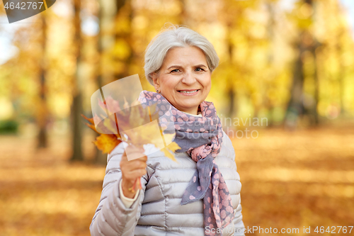 Image of senior woman with maple leaves at autumn park