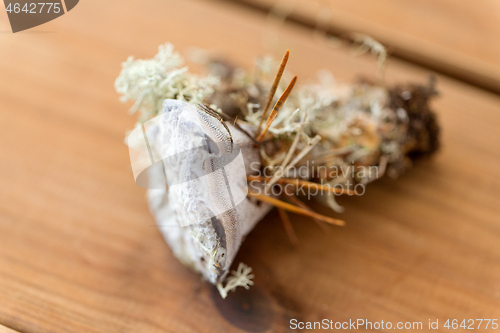 Image of hydnellum fungus on wooden background