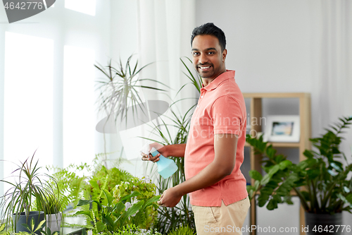 Image of man spraying houseplant with water at home