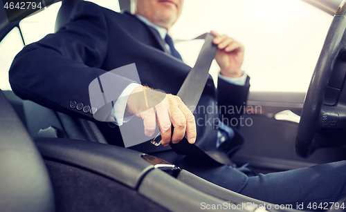 Image of senior businessman fastening car seat belt