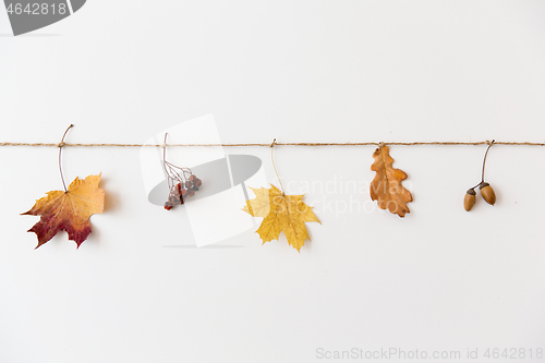 Image of autumn leaves, acorns and rowanberries on string