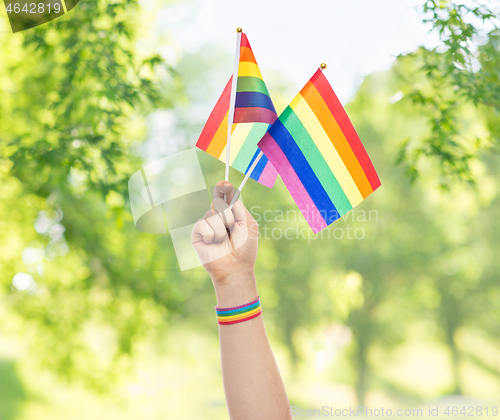 Image of hand with gay pride rainbow flags and wristband